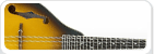 Mandolin kielet